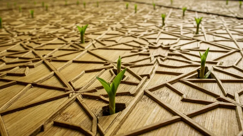 Comment La Finance Islamique Contribue Au Developpement Durable